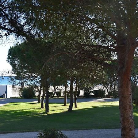 Le Byblos 9 - Vue Mer - Climatisation Plage d'Argeles ภายนอก รูปภาพ