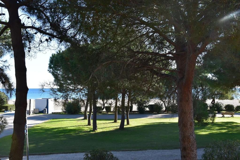 Le Byblos 9 - Vue Mer - Climatisation Plage d'Argeles ภายนอก รูปภาพ
